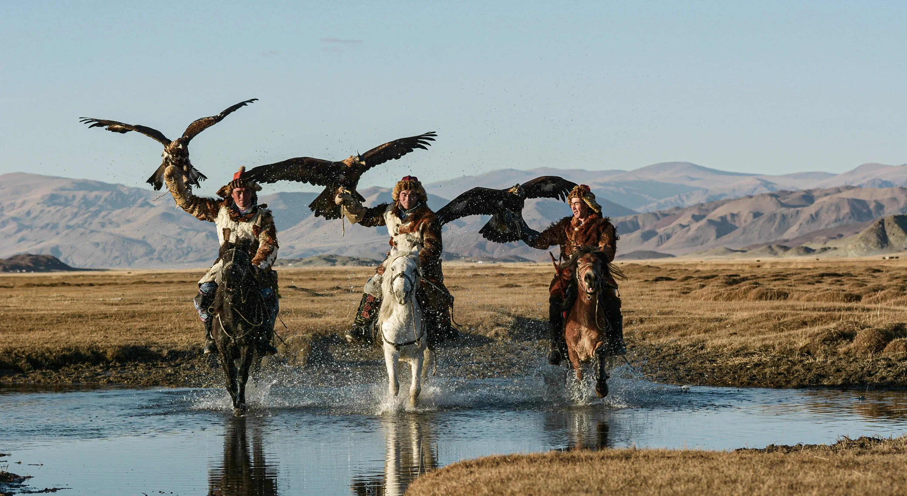 Mongol Horses - Horses Of The Mongolian Steppes